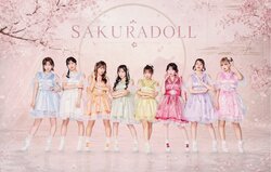 SAKURADOLL