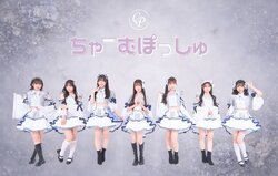 ちゃーむぽっしゅ