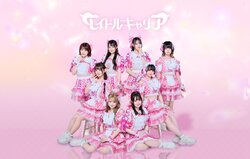 アイドルキャリア