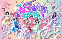 逆転ねこぱんちっ！